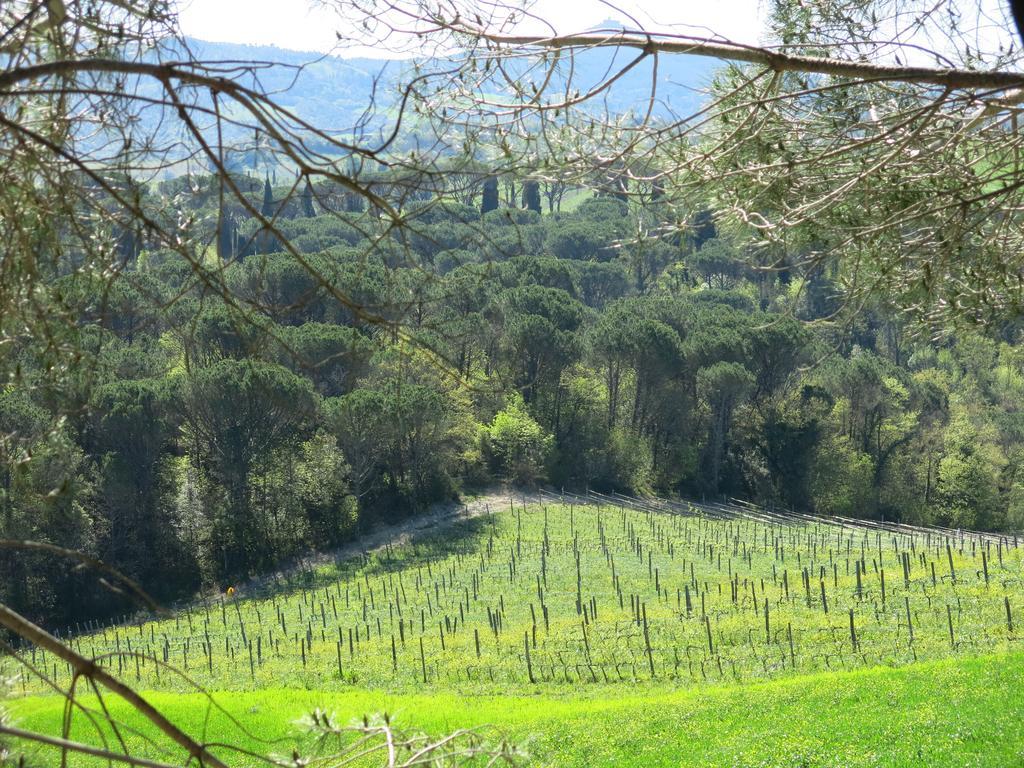 Agriturismo Il Palagetto Pomarance Εξωτερικό φωτογραφία
