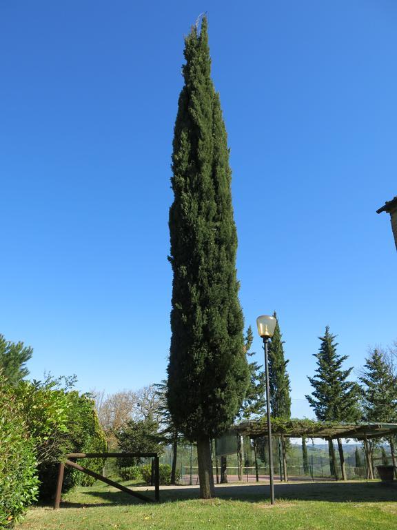 Agriturismo Il Palagetto Pomarance Εξωτερικό φωτογραφία